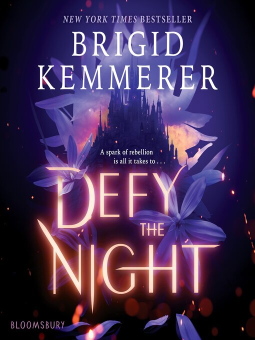 Title details for Defy the Night by Brigid Kemmerer - Wait list